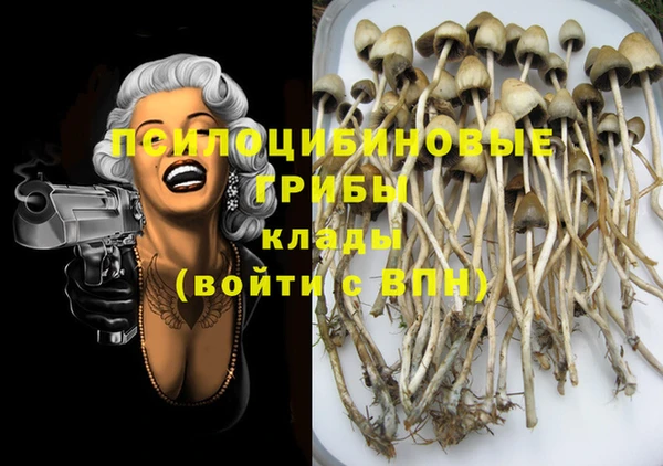 тгк Чегем