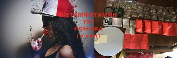 шишки Чекалин