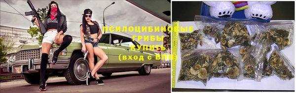 МДПВ Богородск