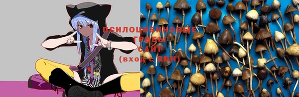 метамфетамин Богданович