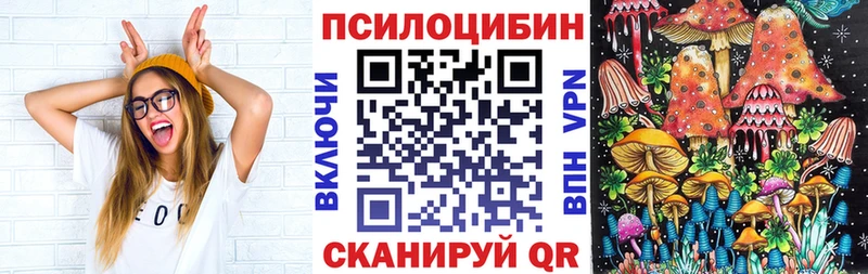 Галлюциногенные грибы мицелий Купить закладки Бакал