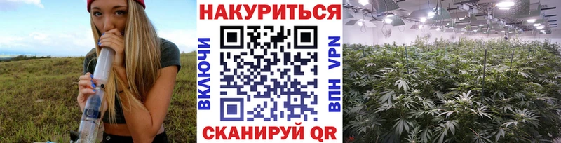 Купить  Бакал  Шишки марихуана VHQ 